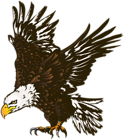 American Eagle PNG Clipart