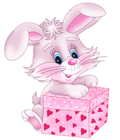 Cute Bunny with Valentine Gift Box PNG Clipart Picture