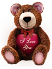 Valentines Day Brown Teddy with Pink Heart PNG Picture