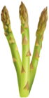 Asparagus Free PNG Clip Art Image