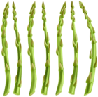 Asparagus PNG Clip Art