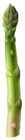Asparagus PNG Clip Art Image