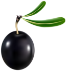 Black Olive Transparent PNG Clip Art Image