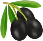 Black Olives PNG Clipart