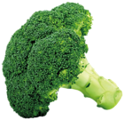 Broccoli PNG Picture