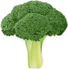 Broccoli Transparent PNG Clip Art Image