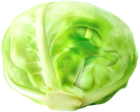 Cabbage Free PNG Clip Art Image