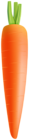 Carrot Clip Art Image