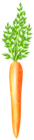 Carrot Free PNG Clip Art Image