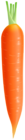Carrot PNG Clipart Image