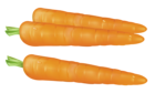 Carrots PNG Clipart