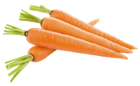 Carrots PNG Picture