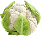 Cauliflower PNG Clip Art Image