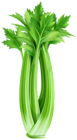 Celery PNG Clipart