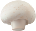 Champignon Mushroom Transparent Clip Art Image