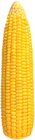 Corn PNG Clip Art