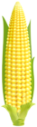 Corn PNG Clipart