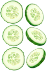 Cucumber Slices PNG Transparent Image