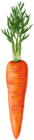 Fresh Carrot PNG Clipart