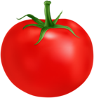 Fresh Tomato PNG Clipart