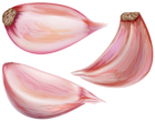 Garlic Cloves PNG Clip Art Image