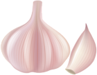 Garlic PNG Clip Art