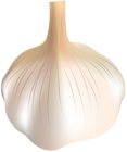 Garlic Transparent PNG Clip Art