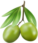 Green Olives PNG Clip Art Image