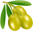 Green Olives PNG Clipart