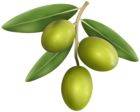 Green Olives PNG Transparent Clipart