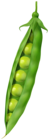 Green Pea PNG Clipart