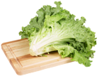 Green Salad Lettuce PNG Clip Art Image