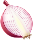Half Red Onion PNG Clipart