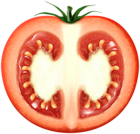 Half Tomato Transparent Clip Art Image