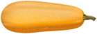 Long Pie Pumpkin Transparent Image