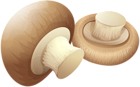 Mushrooms PNG Clip Art