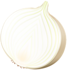 Onion PNG Clip Art Image