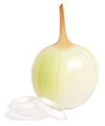 Onion PNG Picture Clipart