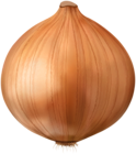 Onion Transparent Clipart