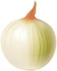 Onion Transparent Image