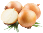 Onions PNG Picutre