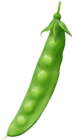 Pea PNG Clipart