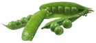 Pea Pods PNG Picture