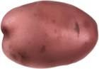 Pink Potato Transparent PNG Clip Art Image