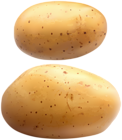 Potatoes Clip Art Image