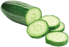 Realistic Cucumber PNG Transparent Clipart