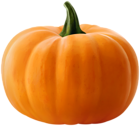 Realistic Pumpkin Clip Art Image