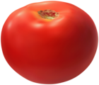 Realistic Tomato Clip Art Image