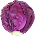 Red Cabbage PNG Clip Art Image