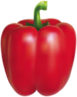 Red Pepper PNG Clipart Image